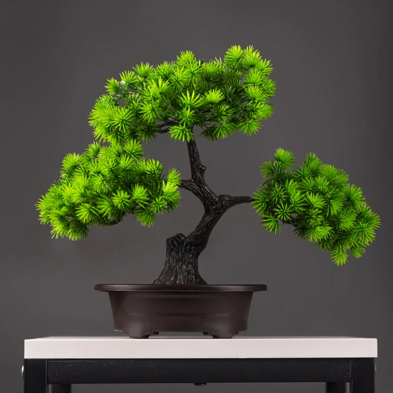 Bonsai Pinheiro