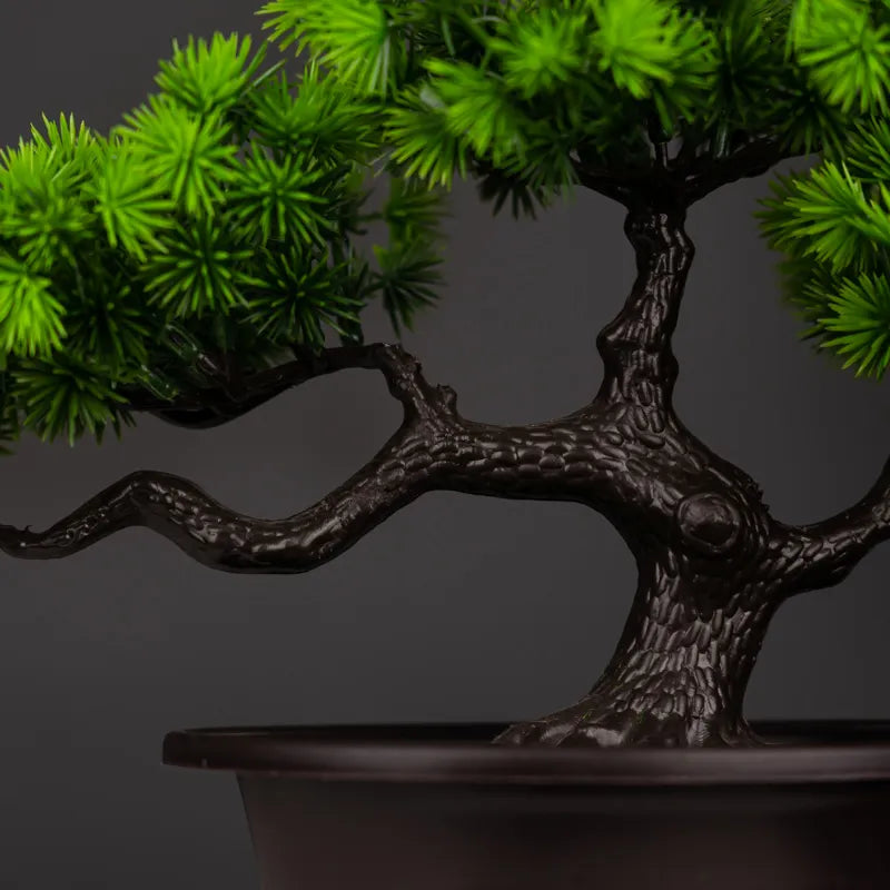 Bonsai Pinheiro