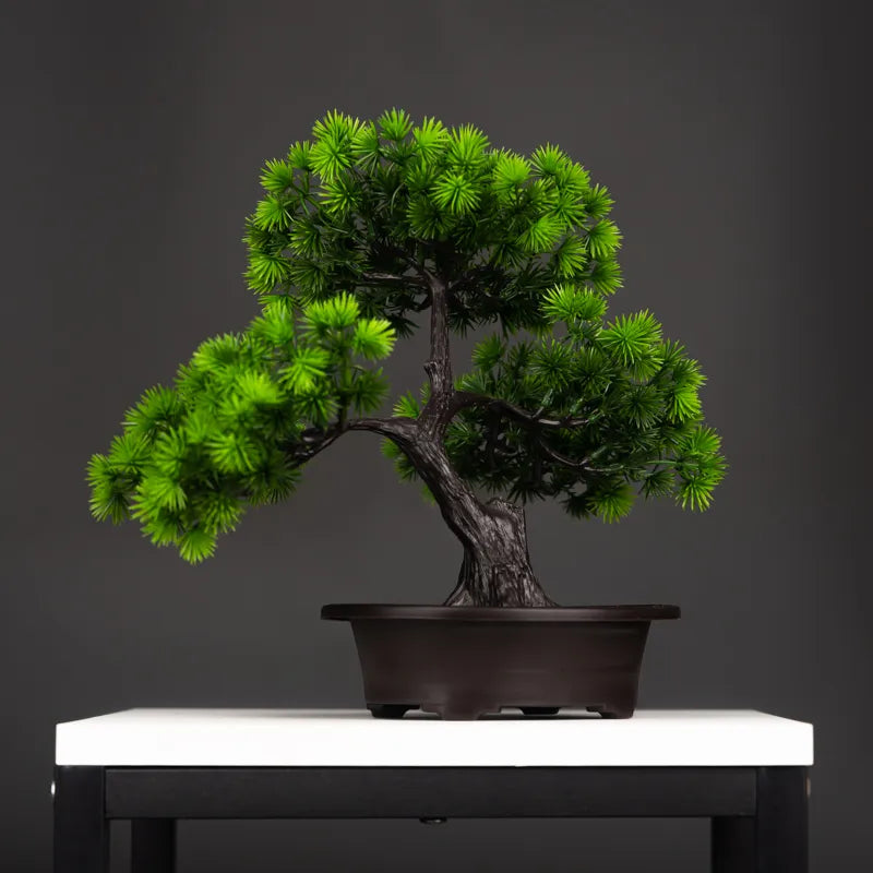 Bonsai Pinheiro